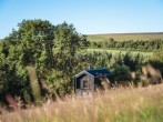 Shack in the field